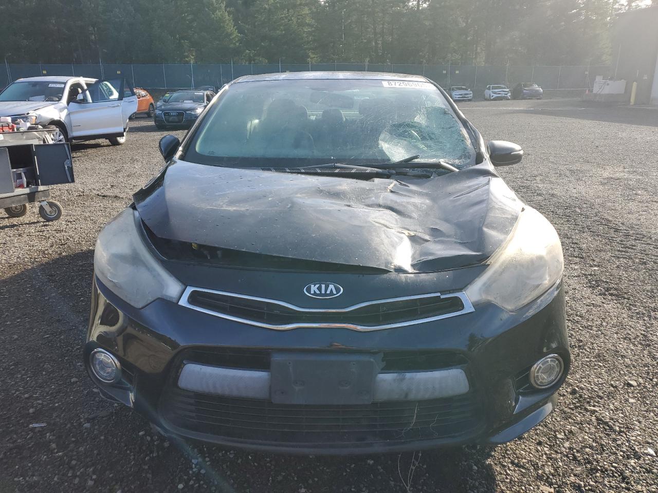 Lot #3317076981 2015 KIA FORTE SX