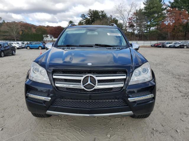 2010 MERCEDES-BENZ GL 450 4MA - 4JGBF7BE0AA576879
