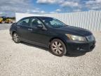 Lot #3304633939 2009 HONDA ACCORD EXL
