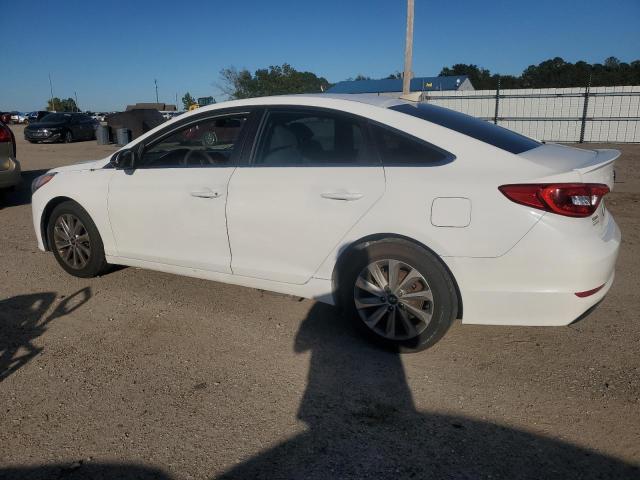 2015 HYUNDAI SONATA SE - 5NPE24AF8FH165185