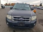 Lot #3301964464 2009 FORD ESCAPE XLT
