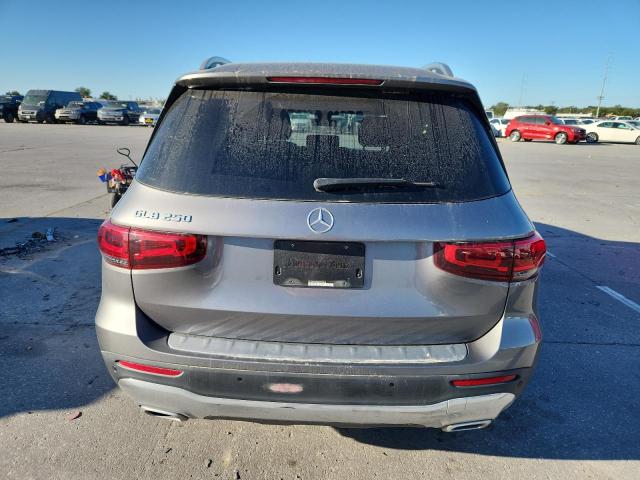 2020 MERCEDES-BENZ GLB 250 #3273774351