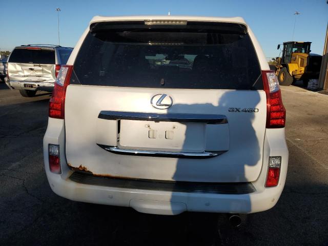 2011 LEXUS GX 460 - JTJBM7FX5B5031127