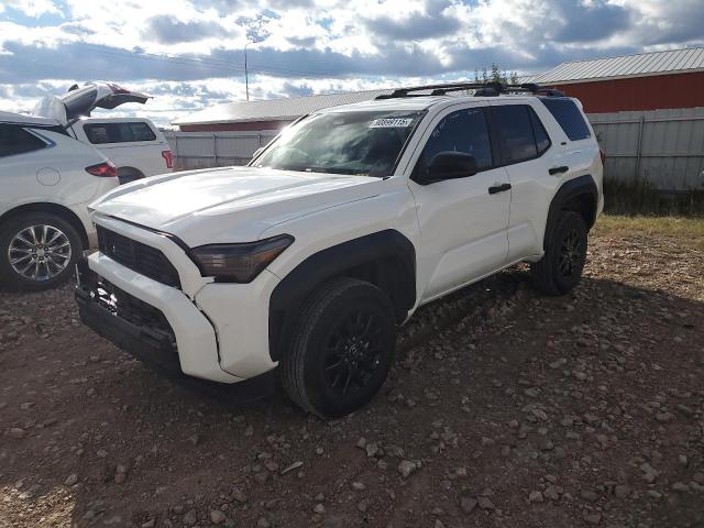 2025 TOYOTA 4RUNNER SR - JTEVA5BR9S5022950