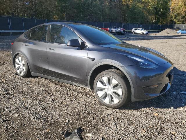 2024 TESLA MODEL Y 7SAYGDED5RF008081