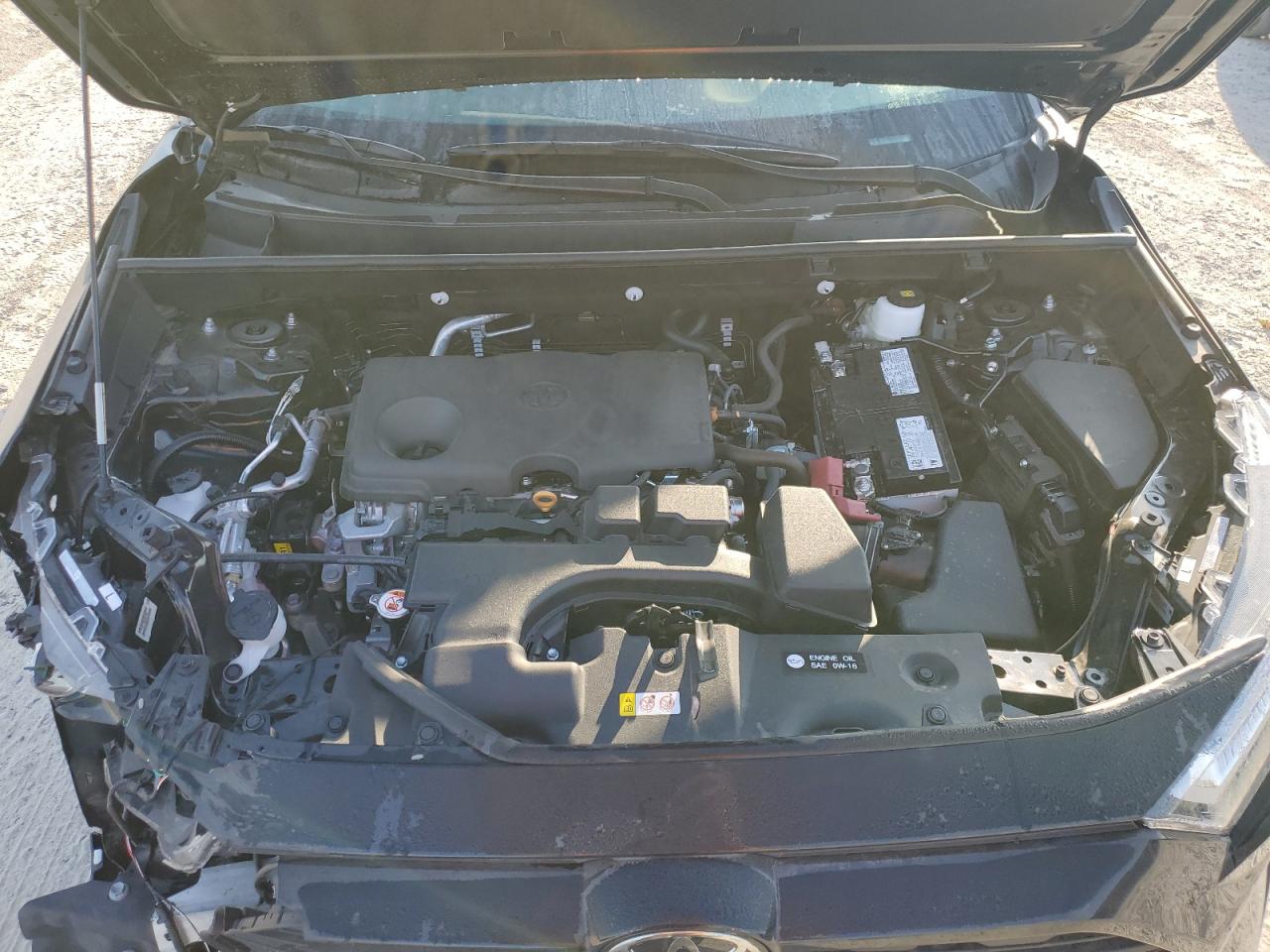 TOYOTA RAV4 XLE PREMIUM