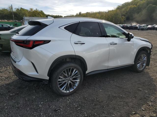 2025 LEXUS NX 350H BA #3287444992