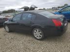 Lot #3294392529 2004 NISSAN MAXIMA SE