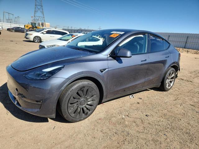 2023 TESLA MODEL Y #3303682934
