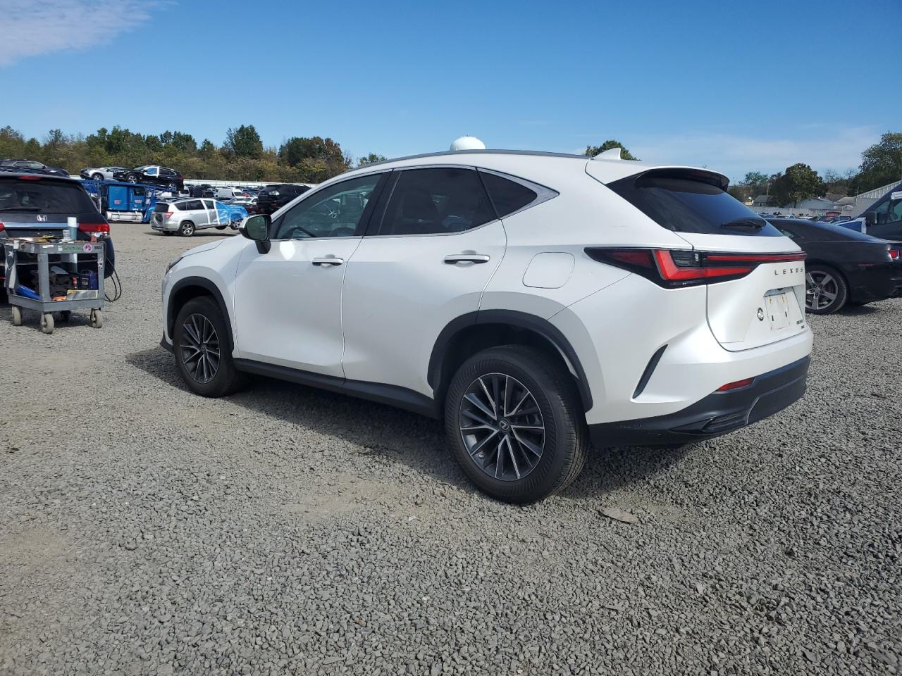 LEXUS NX 350