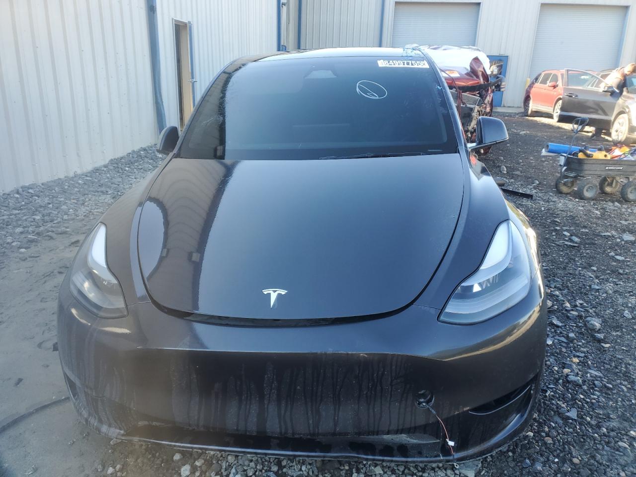 Lot #3316720413 2025 TESLA MODEL Y
