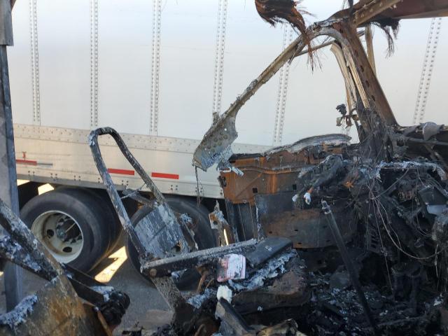 2019 PETERBILT 389 #3290297242