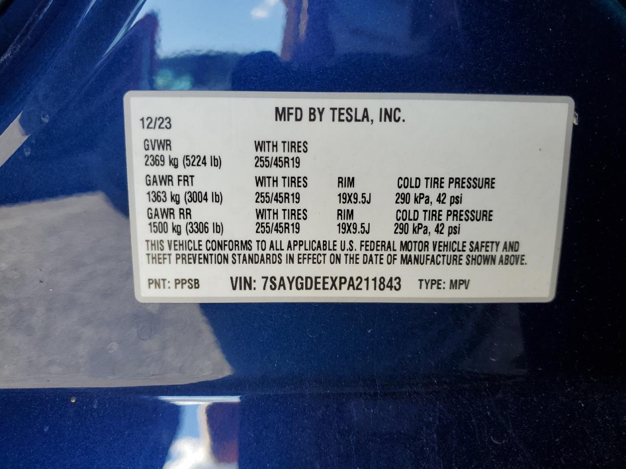 Lot #3308377293 2023 TESLA MODEL Y