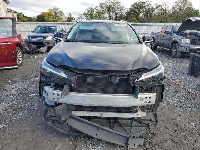 2022 LEXUS NX 350 2T2GGCEZXNC015620