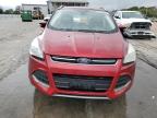 Lot #3294442504 2016 FORD ESCAPE TIT