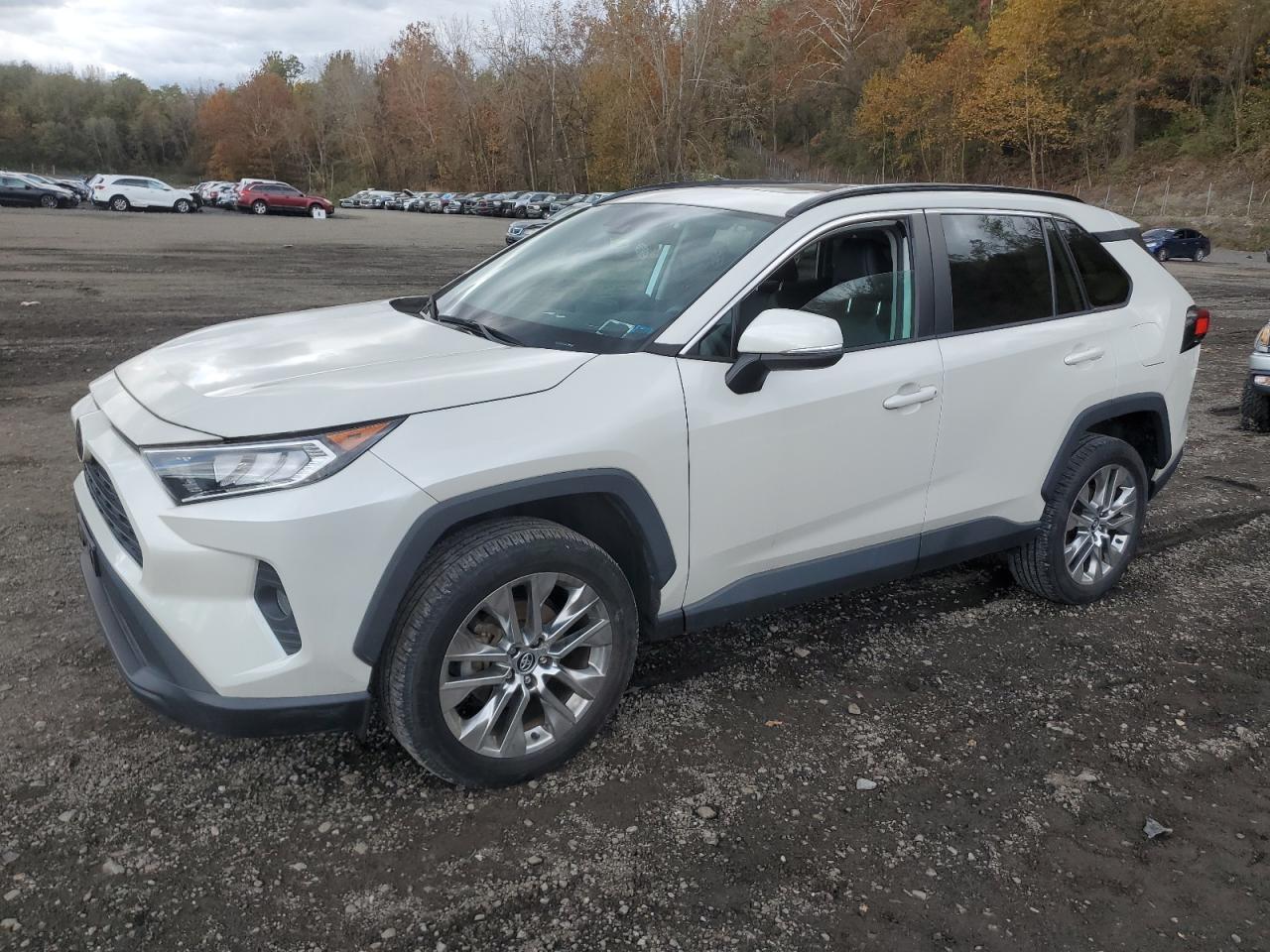 TOYOTA RAV4 XLE PREMIUM
