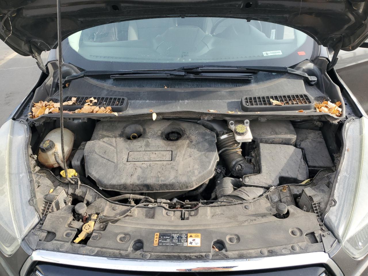 FORD ESCAPE TITANIUM