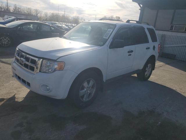 Global Auto Auctions: 2009 FORD ESCAPE XLT