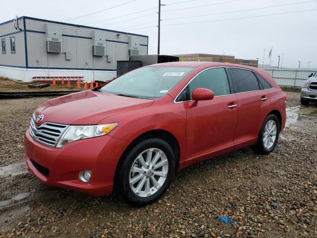 Global Auto Auctions: 2009 TOYOTA VENZA