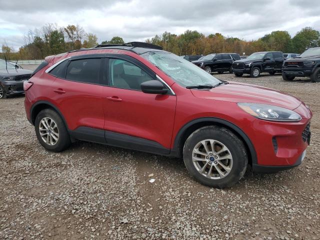 2022 FORD ESCAPE SE #3303725428