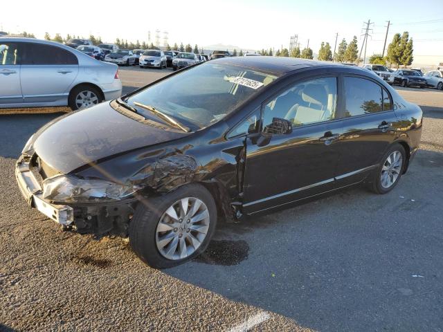 Global Auto Auctions: 2010 HONDA CIVIC EX