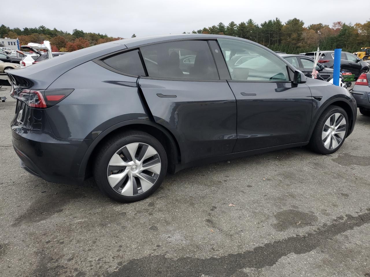 Lot #3302607758 2024 TESLA MODEL Y
