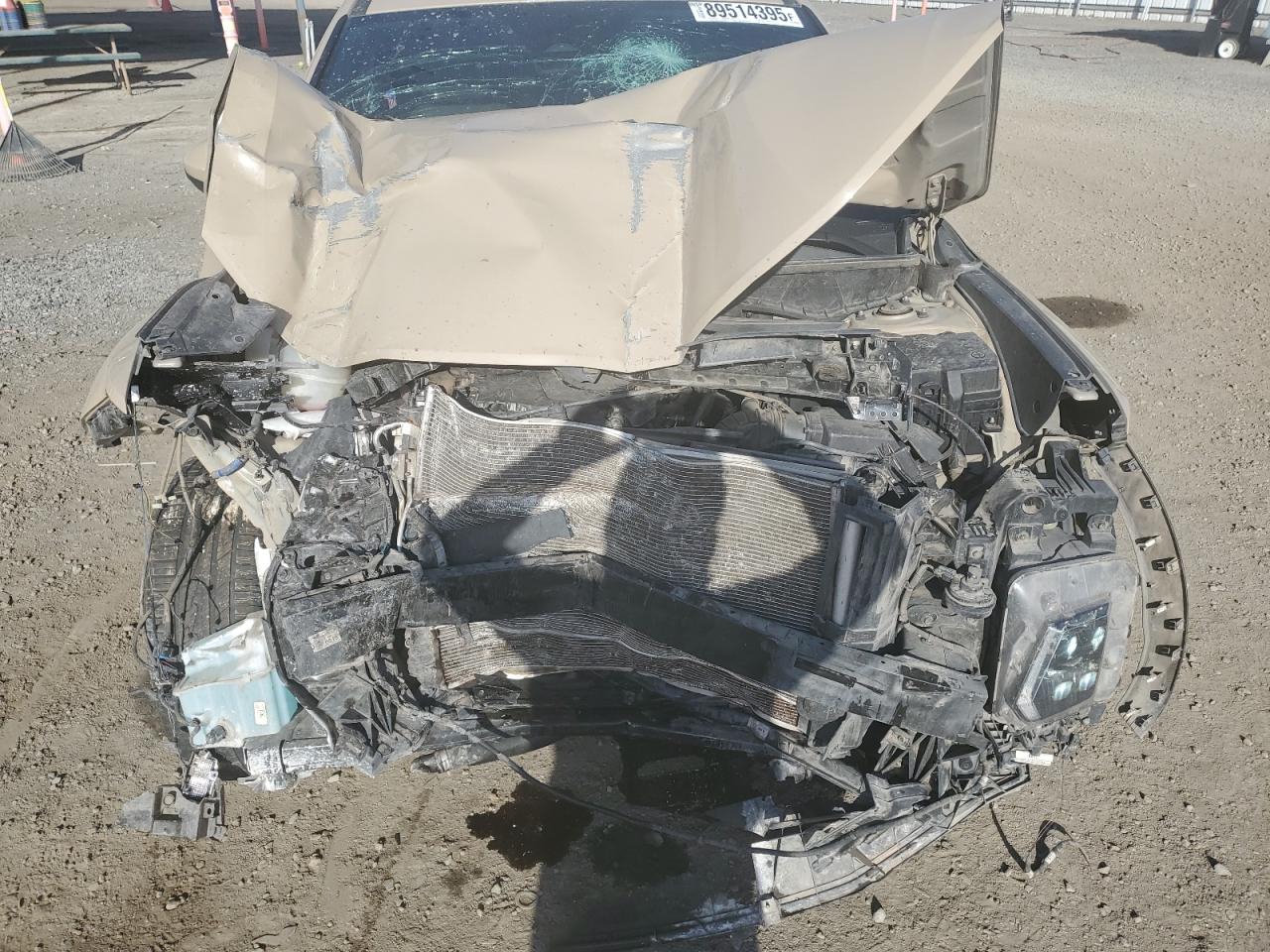 Lot #3316076221 2024 HYUNDAI SANTA CRUZ