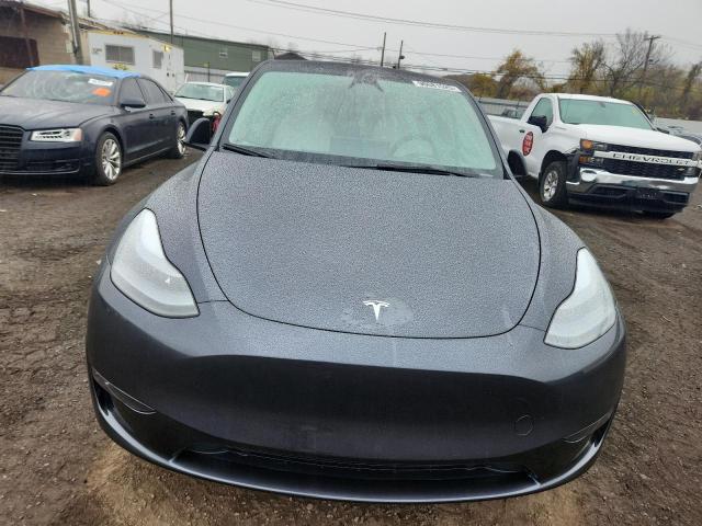 2025 TESLA MODEL Y #3311460286