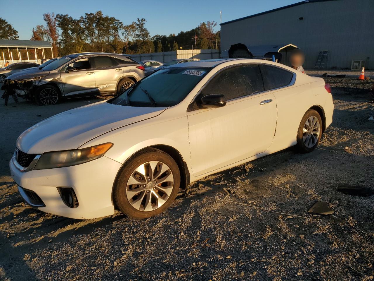 Lot #3286742293 2014 HONDA ACCORD EXL