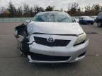 Lot #3305462093 2010 TOYOTA COROLLA BASE