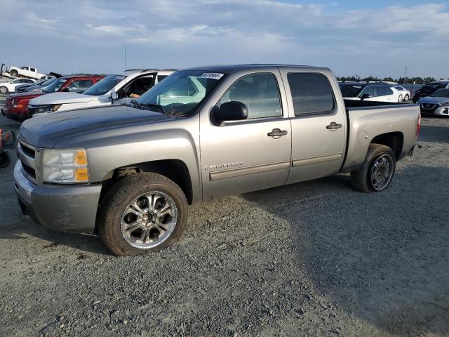 Global Auto Auctions: 2009 CHEVROLET SILVERADO
