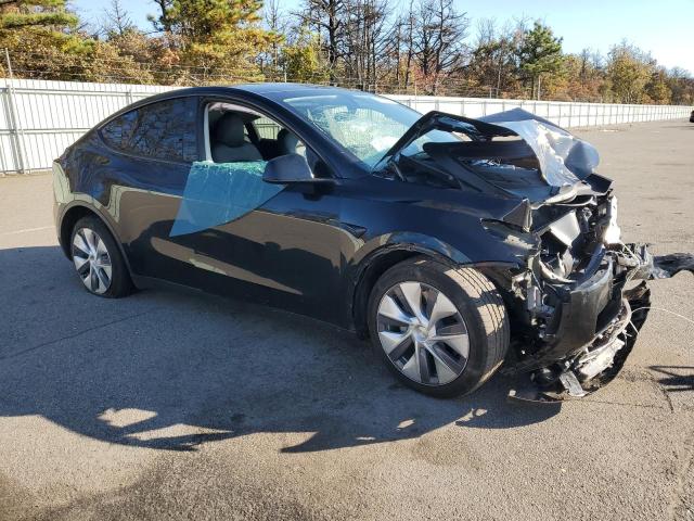 2023 TESLA MODEL Y #3315888089