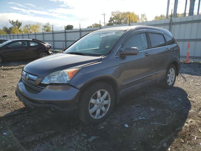 Global Auto Auctions: 2009 HONDA CR-V EXL