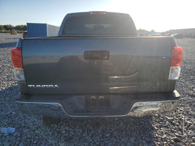 2010 TOYOTA TUNDRA CRE - 5TFFY5F16AX089467