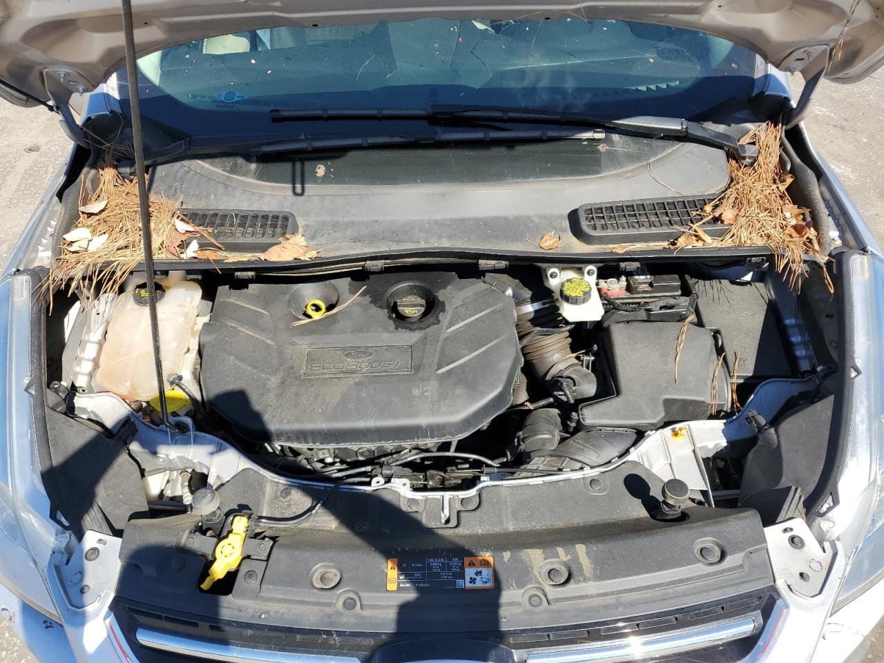 FORD ESCAPE TITANIUM