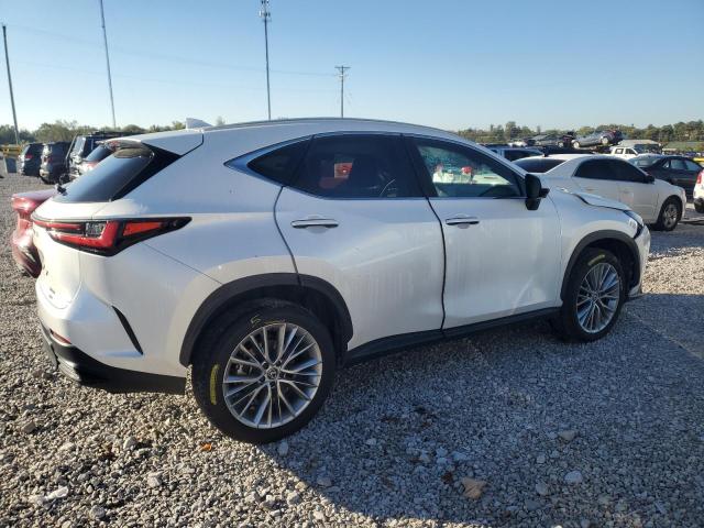 2024 LEXUS NX 350 LUX #3292350327