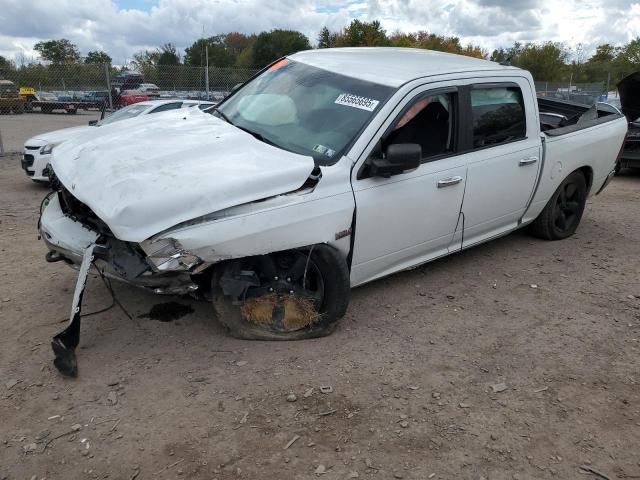 2013 RAM 1500 SLT - 1C6RR7LT8DS639885