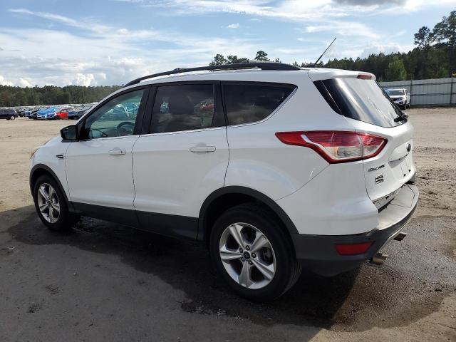 2014 FORD ESCAPE SE - 1FMCU9GX4EUA94484