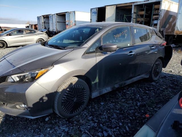 Global Auto Auctions: 2025 NISSAN LEAF SV PL