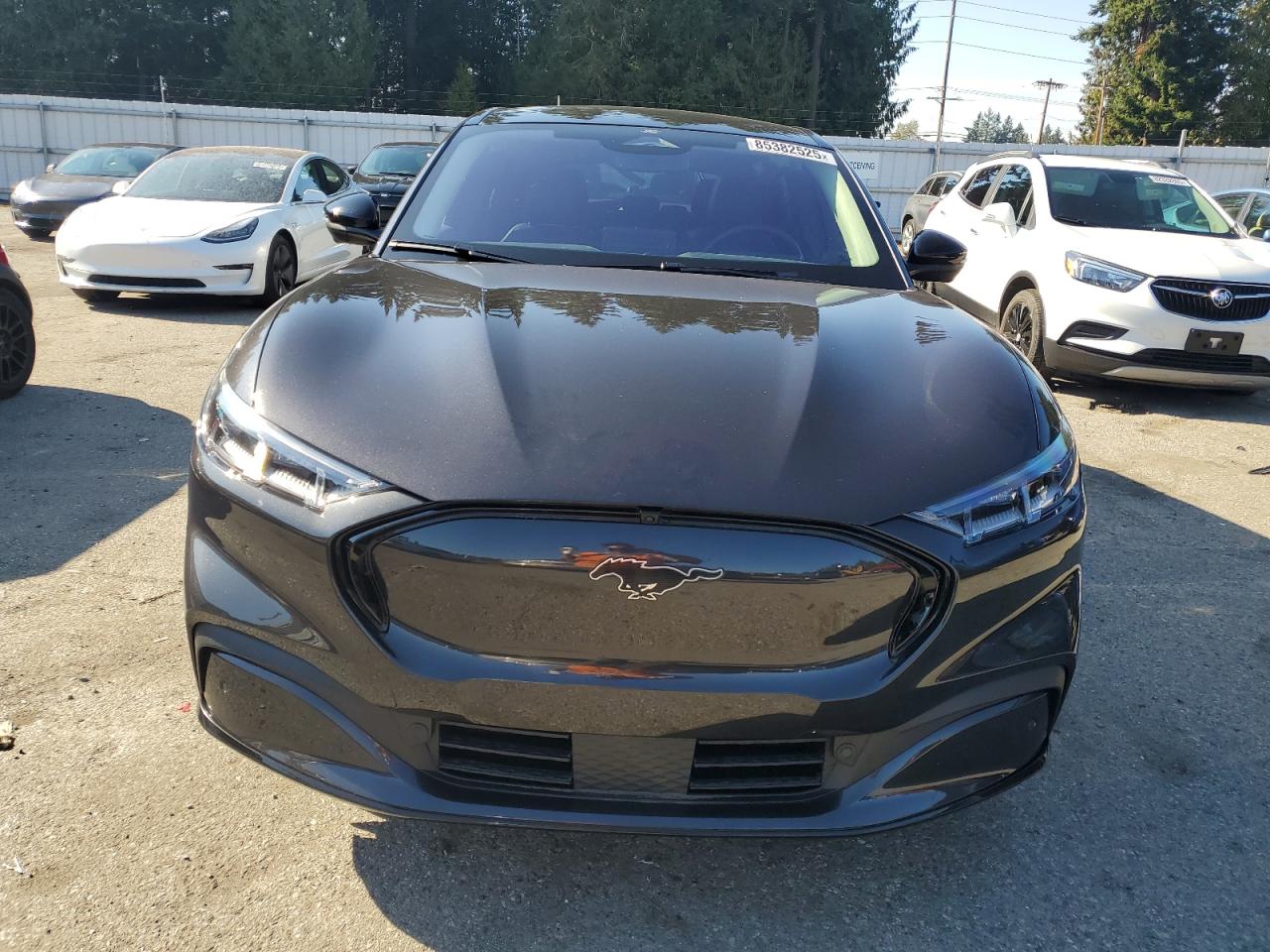 FORD MUSTANG PREMIUM