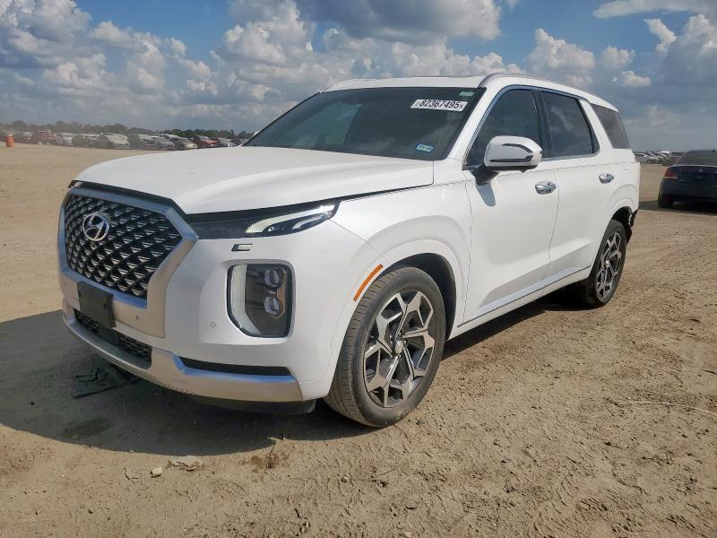 HYUNDAI PALISADE C