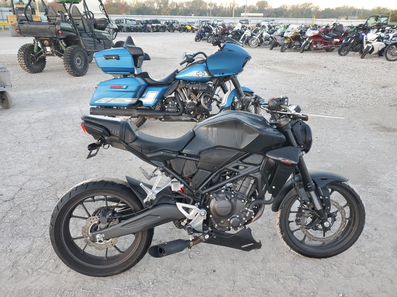 Lot #3301772327 2024 HONDA CBF300 NA