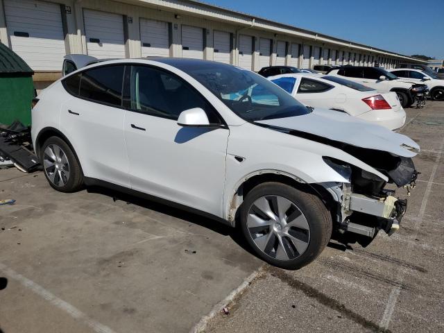 2023 TESLA MODEL Y #3315970133
