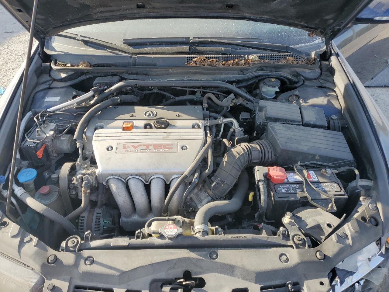 Lot #3261953470 2008 ACURA TSX