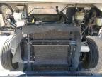 Lot #3305285403 2020 FREIGHTLINER CHASSIS M