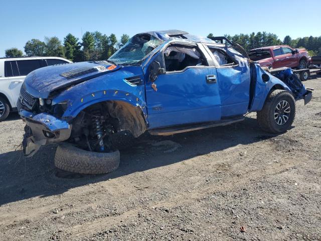 Global Auto Auctions: 2013 FORD F150 SVT R