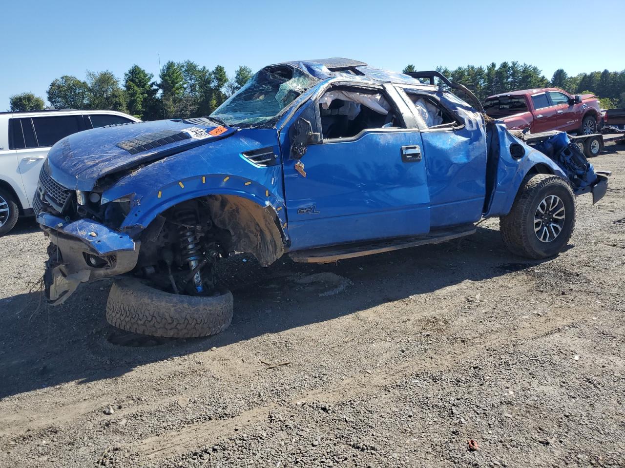 Lot #3291390151 2013 FORD F150 SVT R