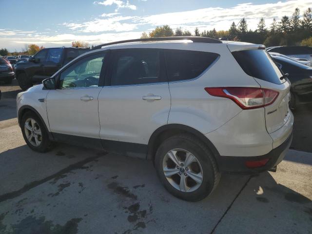2013 FORD ESCAPE SE - 1FMCU0GX6DUD28571