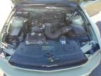 Lot #3301638640 2006 FORD MUSTANG