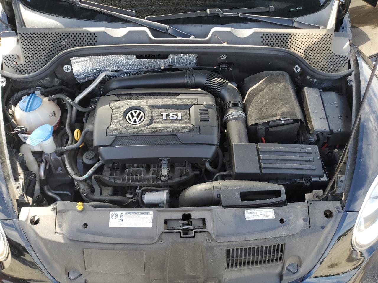 VOLKSWAGEN BEETLE S/SE